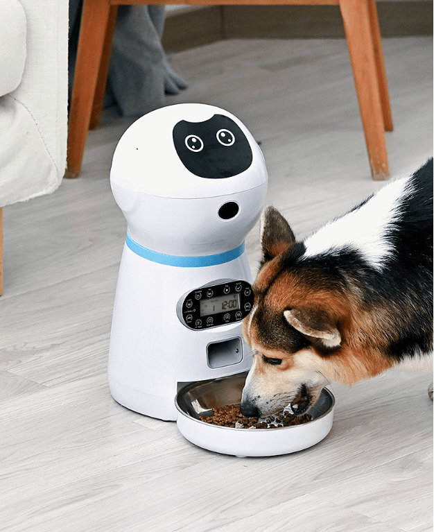 Automatic Pet Feeder - Dog Hugs Cat