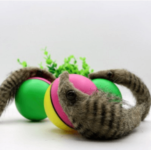 Electric Beaver Ball Water Cat Bath Play Water Toys - Dog Hugs Cat