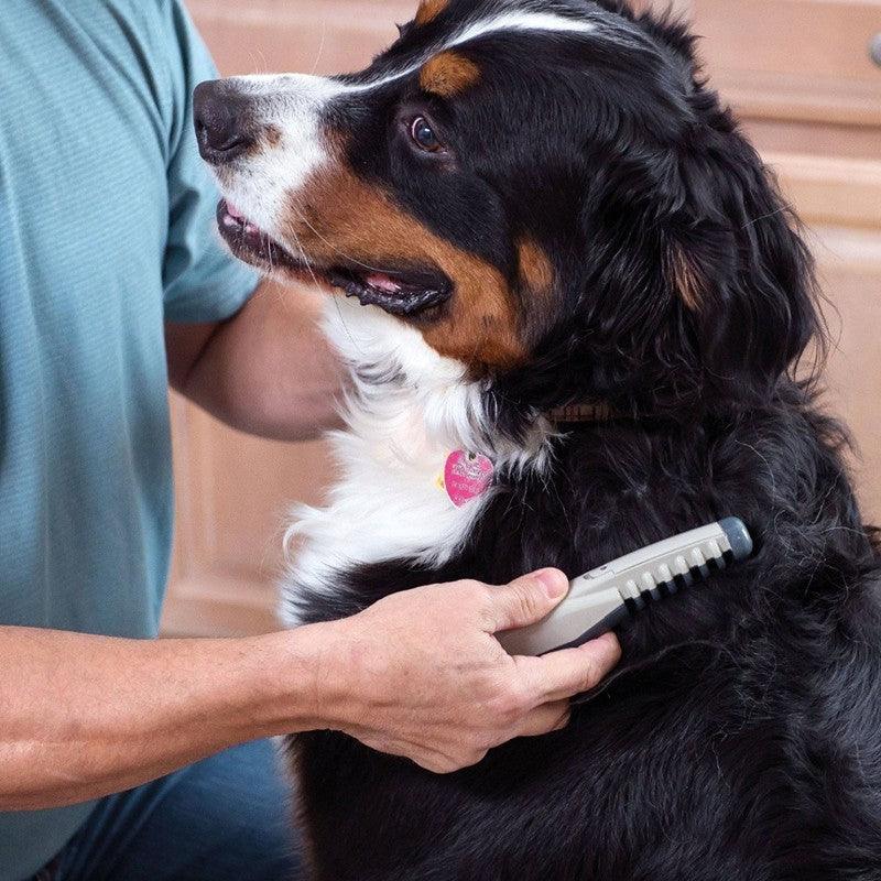 The Electric Pet Grooming Comb - Dog Hugs Cat