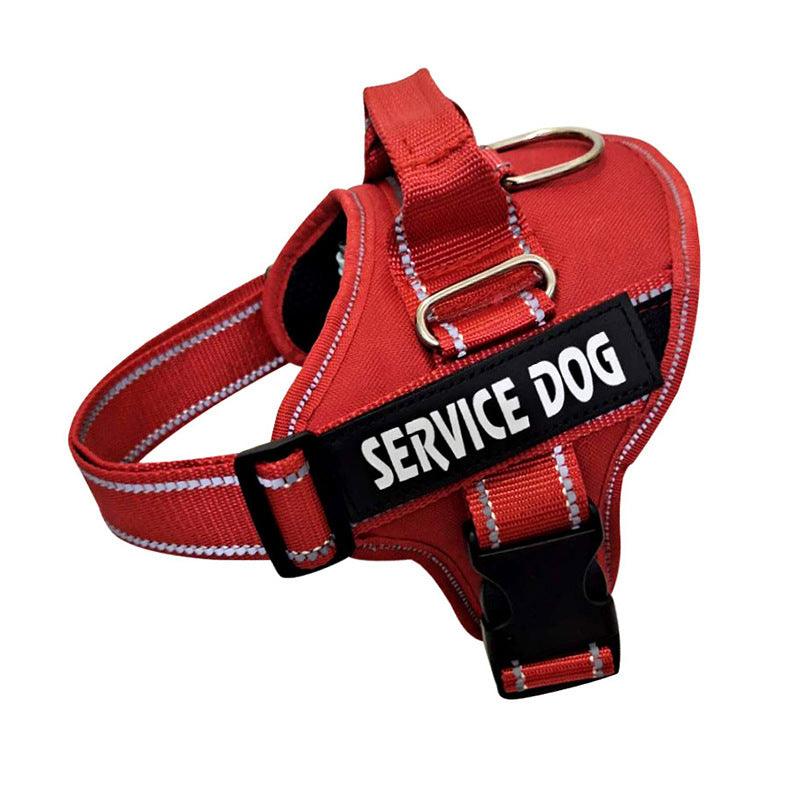 Personalization Of Pet Chest Strap Products - Dog Hugs Cat