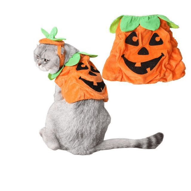 Halloween Pet Cats Costume Props Creative Pumpkin Shape Green Leaf Decoration Cosplay Clothing Holiday Garment Supplies - Dog Hugs Cat