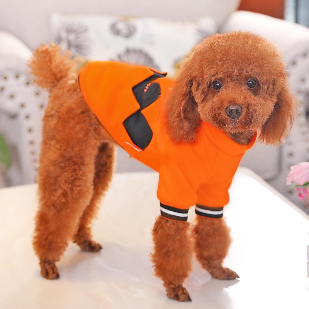 Puppy Dog Clothes Halloween Pumpkin Costume - Dog Hugs Cat