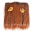 Lion Mane Wig For Large Dogs - Dog Hugs Cat