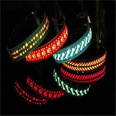 Led Light Collar Pet Collar - Dog Hugs Cat