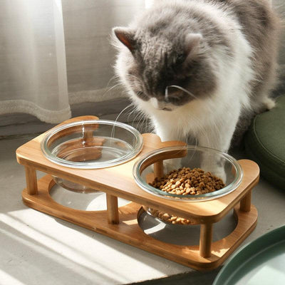 Glass Cat Bowl Cat Food Bowl Cat Food Bowl - Dog Hugs Cat