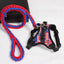 Dog Leash Dog Leash Chest Strap - Dog Hugs Cat