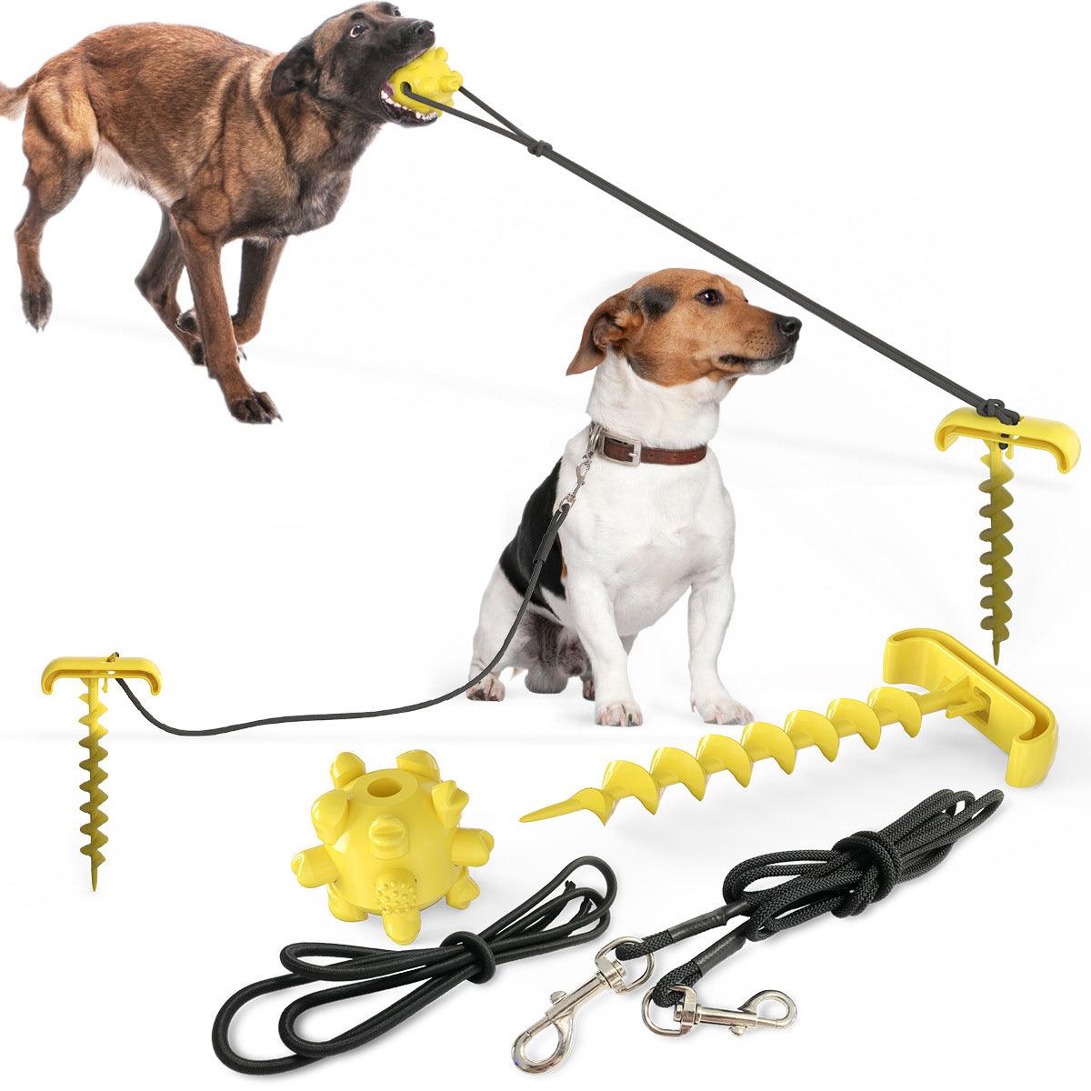 Tie Dog Leash Dog Toy - Dog Hugs Cat