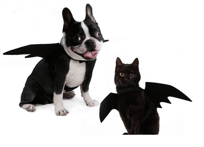 Pet Bat Wings Clothes - Dog Hugs Cat