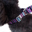 Pet Cushioning Collar Lazy Dog Collar Pomi Dog Walking Collar - Dog Hugs Cat