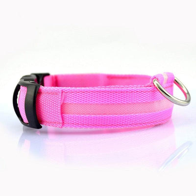 Led Pet Safety Collar - Dog Hugs Cat