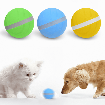 Smart Pet Toy Ball Usb Charging - Dog Hugs Cat