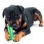 Silicone Pet Toothbrush Dog Tooth Stick Brush - Dog Hugs Cat