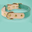 Leather Cat Collar - Dog Hugs Cat