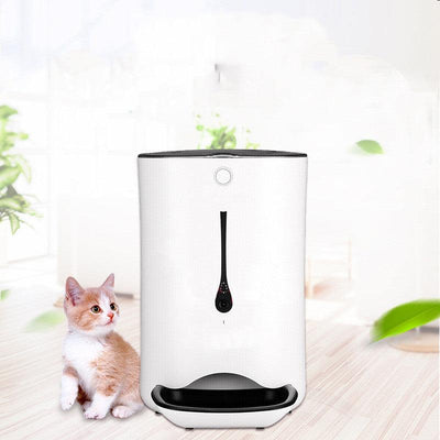 Timed Pet Video Automatic Feeder - Dog Hugs Cat