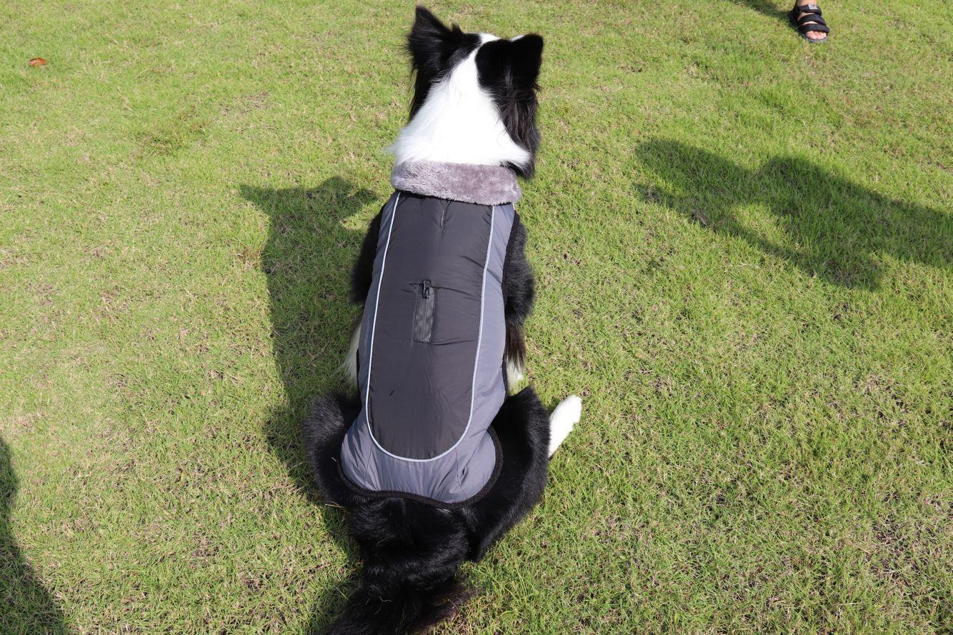 Thickened Dog Padded Coat Reflective Dog Clothing - Dog Hugs Cat