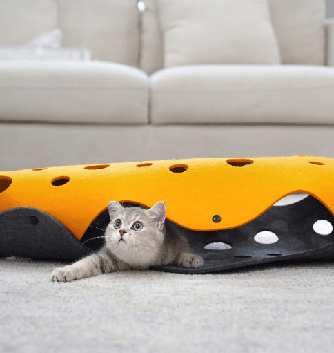 Cat Tunnel Folding Cat Channel Rolling Chinchilla Nest - Dog Hugs Cat