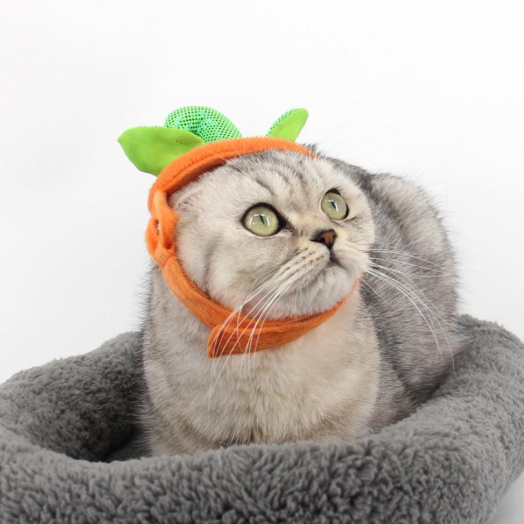 Halloween Pet Cats Costume Props Creative Pumpkin Shape Green Leaf Decoration Cosplay Clothing Holiday Garment Supplies - Dog Hugs Cat