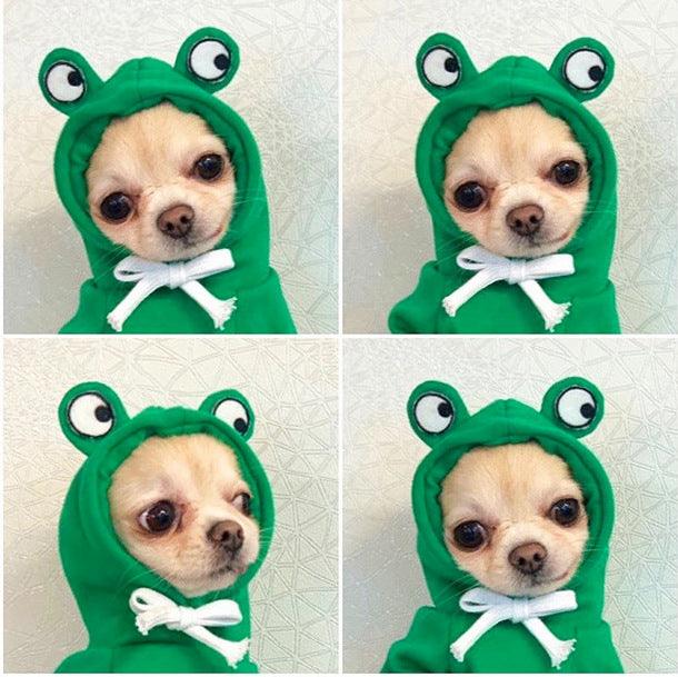 Fruit Dog Clothes Two-Legged Hooded Outfits Green Fleece Clothing Autumn Winter Hoodies - Dog Hugs Cat