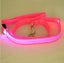 Glowing Pet Leash Glowing Dog Led - Dog Hugs Cat