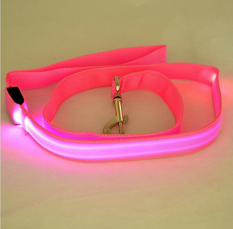 Glowing Pet Leash Glowing Dog Led - Dog Hugs Cat