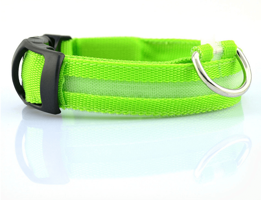 Nylon Led Pet Dog Luminous Collar Night Safety Flashing Glow In Dark Dog Cat Leash Adjustable Pet Supplies - Dog Hugs Cat