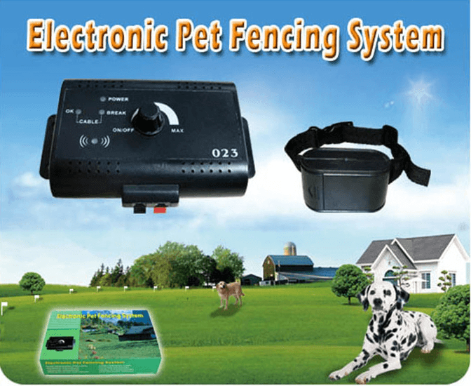 Pet Electronic Fence - Dog Hugs Cat