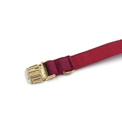 Soft Burgundy Velvet Pet Collar Dog Collar - Dog Hugs Cat