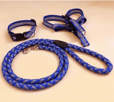 Pet Dog Leash - Dog Hugs Cat