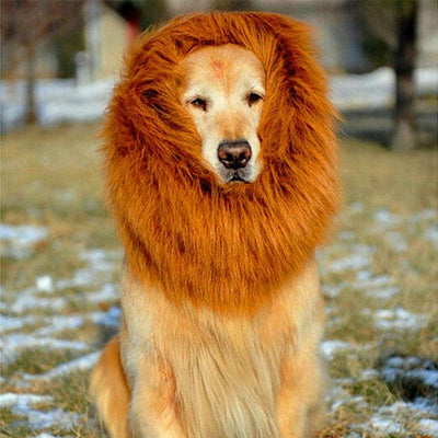 Lion Mane Wig For Large Dogs - Dog Hugs Cat