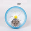 Hamster Running Wheel Hamster Cage Large Runner Golden Silk Bear Sports Ball - Dog Hugs Cat