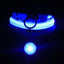 Pet Supplies Dog Collar Luminous Fashion - Dog Hugs Cat