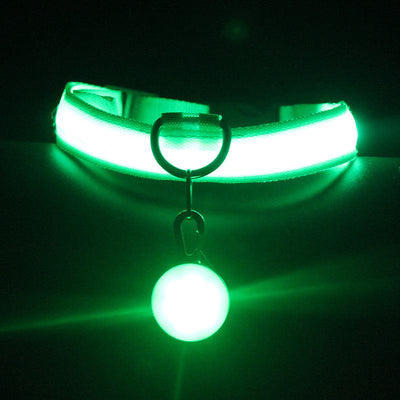 Pet Supplies Dog Collar Luminous Fashion - Dog Hugs Cat