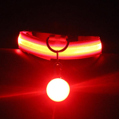 Pet Supplies Dog Collar Luminous Fashion - Dog Hugs Cat