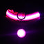 Pet Supplies Dog Collar Luminous Fashion - Dog Hugs Cat