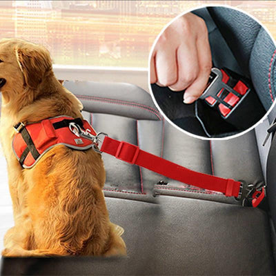 Dog Traction Belt Telescopic Rope Car Car Rope - Dog Hugs Cat