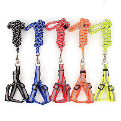 Dog Night Reflective Traction Rope Braided Chest Strap - Dog Hugs Cat