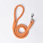 Dog Leash Small Dog Leash Pet Products P Chain - Dog Hugs Cat