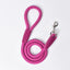 Dog Leash Small Dog Leash Pet Products P Chain - Dog Hugs Cat