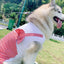 Dog Clothes Princess Dog Costume Labrador Golden Retriever Big Dog Clothes - Dog Hugs Cat