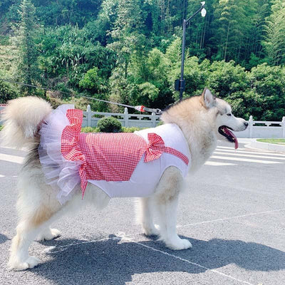 Dog Clothes Princess Dog Costume Labrador Golden Retriever Big Dog Clothes - Dog Hugs Cat