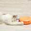 Pet Funny Cat Turntable, Cat Snacks, Food Utensils, Sound Toys - Dog Hugs Cat