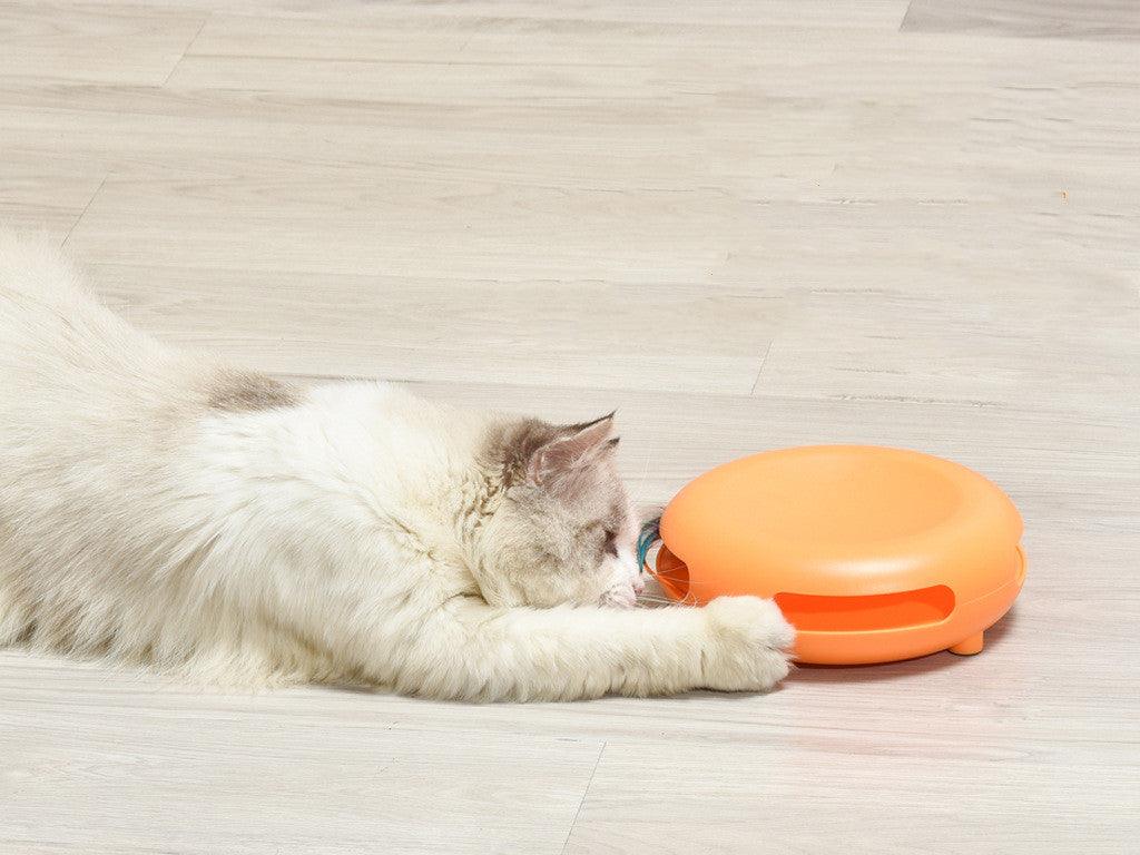 Pet Funny Cat Turntable, Cat Snacks, Food Utensils, Sound Toys - Dog Hugs Cat