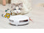 Pet Funny Cat Turntable, Cat Snacks, Food Utensils, Sound Toys - Dog Hugs Cat