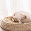 Teng Wok Felt House Cat Bed - Dog Hugs Cat