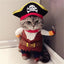 Teddy Pirate Transformed Into Pet Costume - Dog Hugs Cat