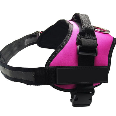 Dog Harness - Dog Hugs Cat