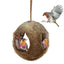 Creative Coconut Shell Bird Nest Feeder - Dog Hugs Cat