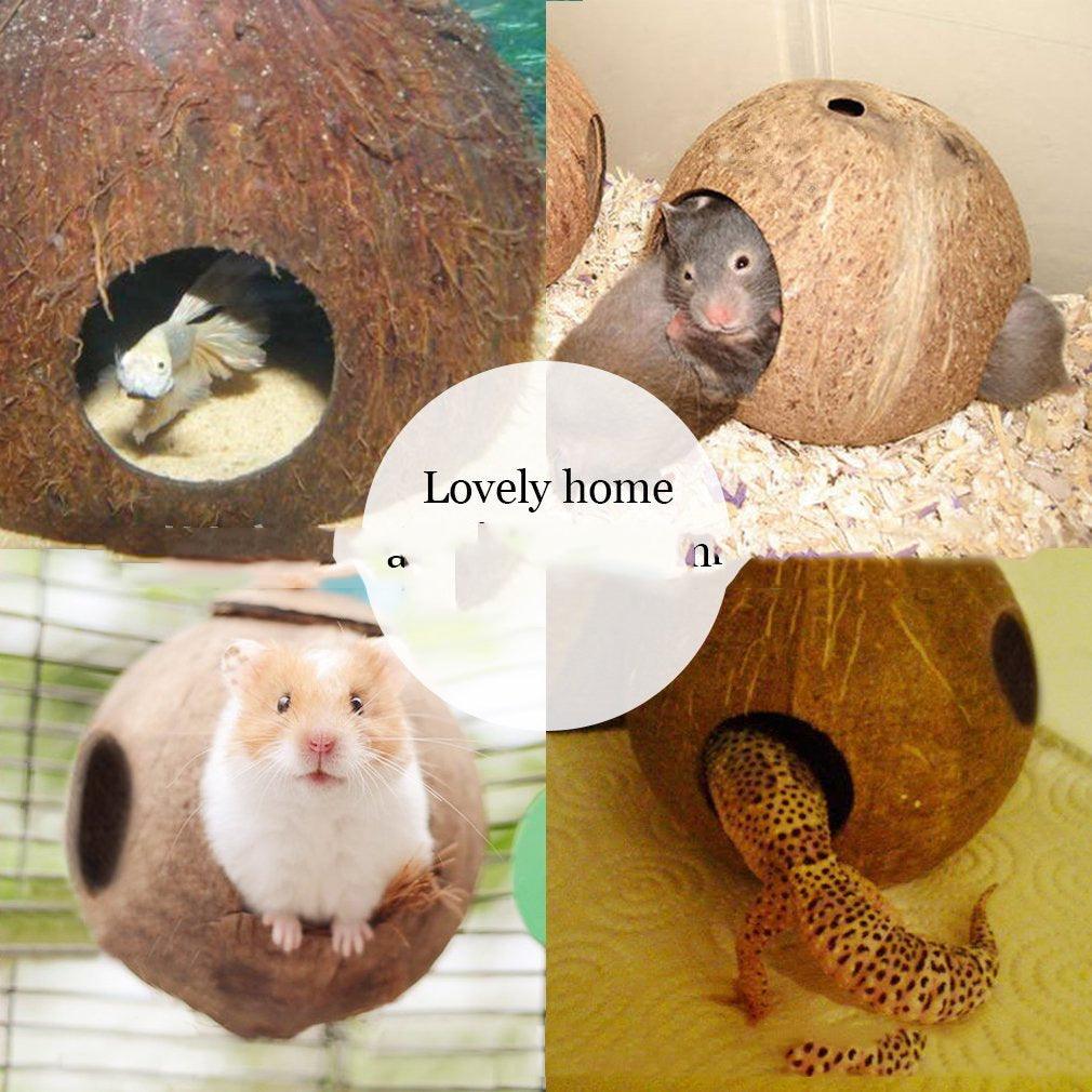 Creative Coconut Shell Bird Nest Feeder - Dog Hugs Cat