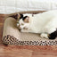 Cat Toy Corrugated Cat Scratch Board Extra Large - Dog Hugs Cat
