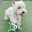 Dog Toy Lovely Paw Football Toys For Puppy Large Dogs - Dog Hugs Cat